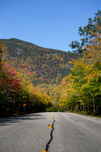 Autumn Foliage photo