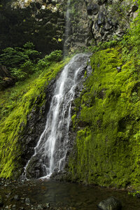 Waterfall Nature photo