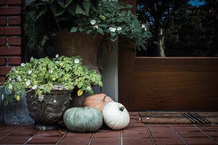 Exterior Pumpkins