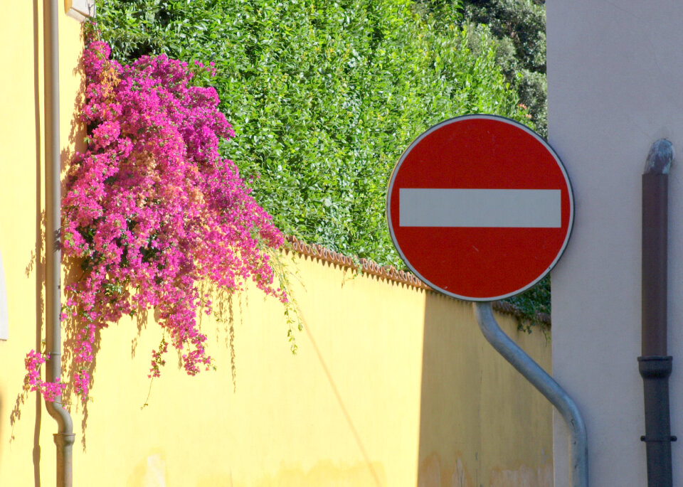 Stop Sign photo