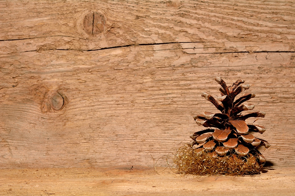 Pine cones wood background