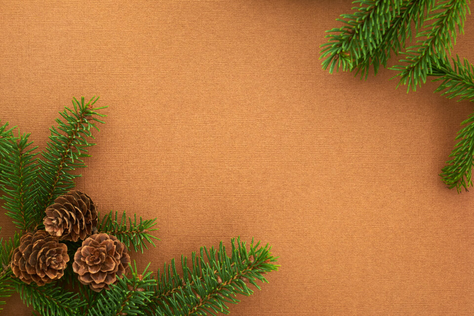Seasonal Backgrounds