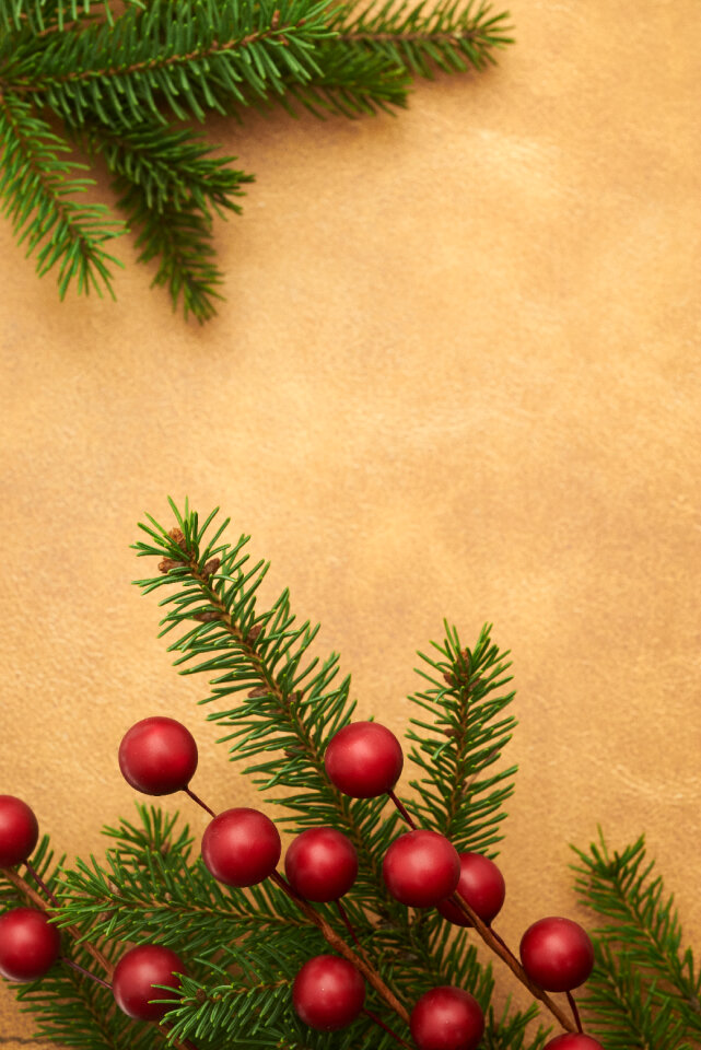 Seasonal Backgrounds