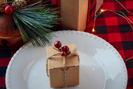 Festive Table photo