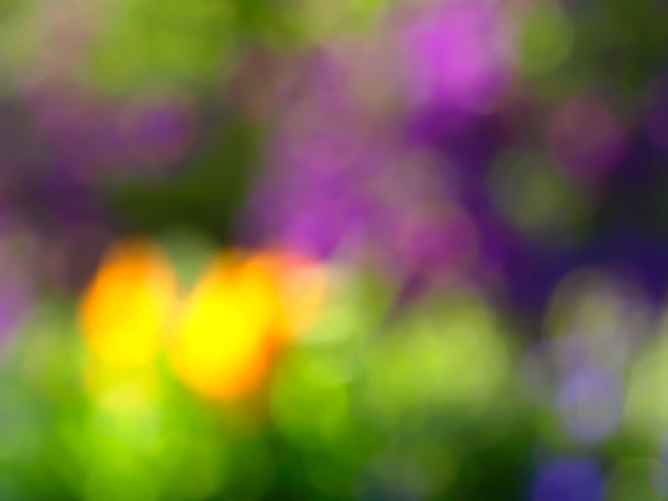 Bokeh Colorful photo