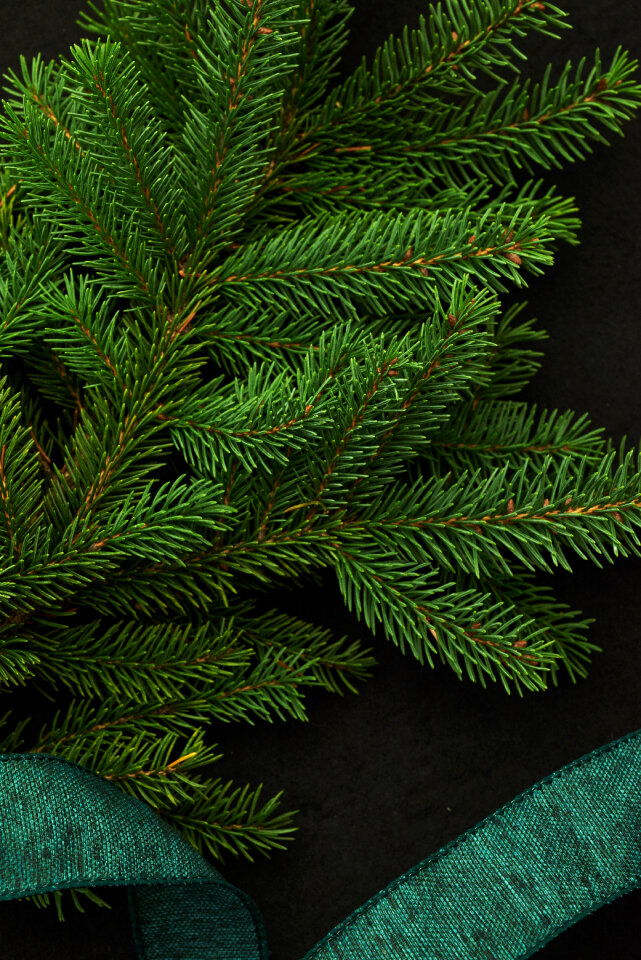 Seasonal Backgrounds