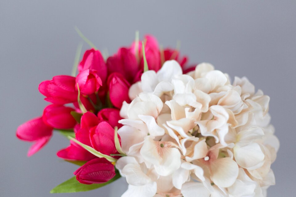 Close Up Flowers