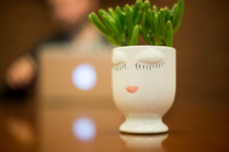 Plant Vase