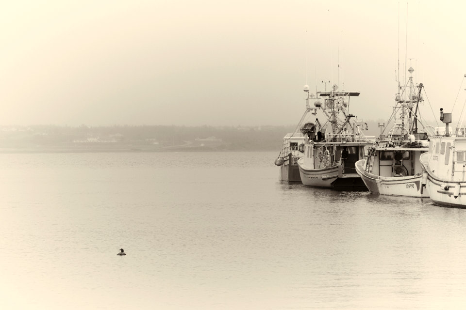 Boats Water photo