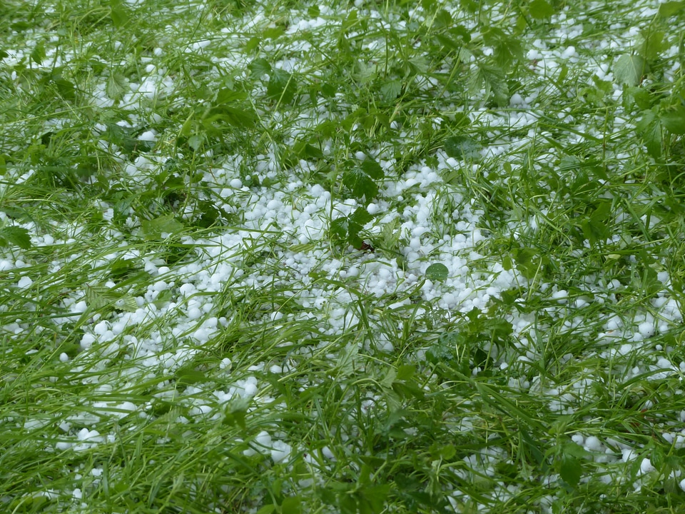 Thunderstorm grass ice lumps
