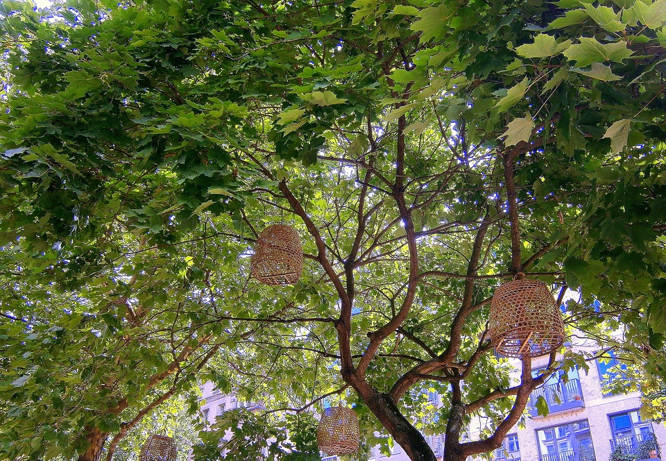 Basket baskets cages