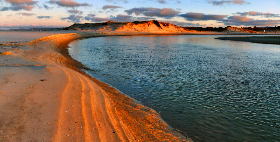 Beach Coast photo