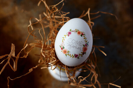 Egg Art photo