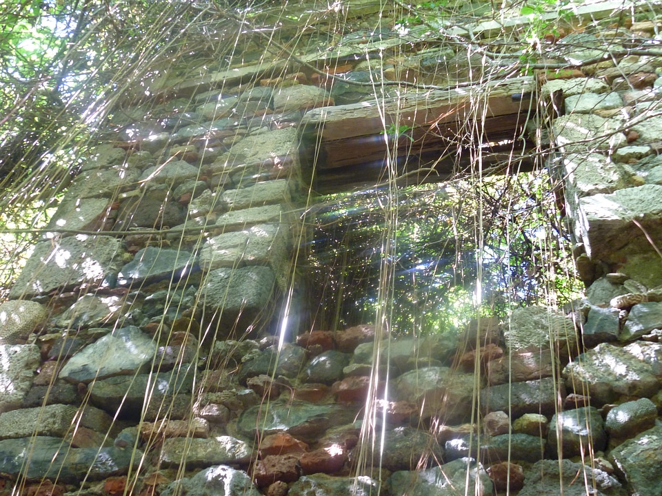 Overgrown ancient building