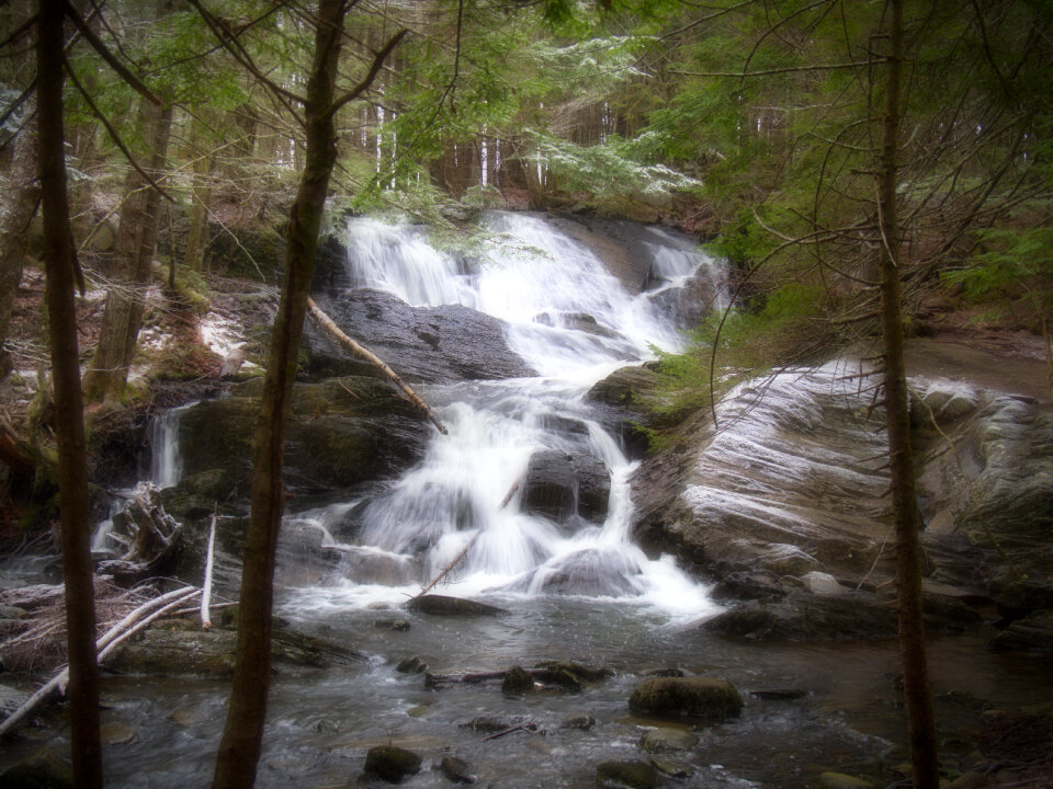 Waterfall Forest photo