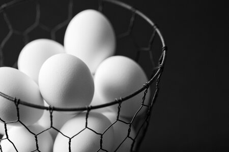 Eggs Basket photo