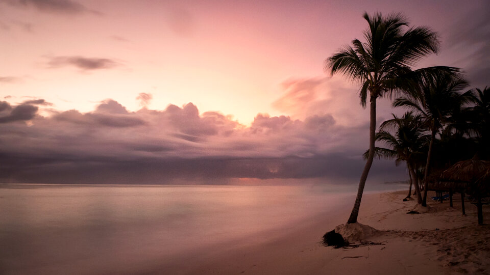 Tropical Beach photo