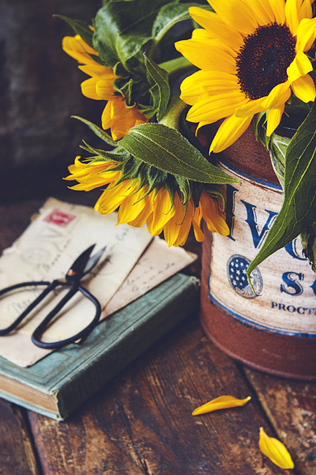 Book Table photo