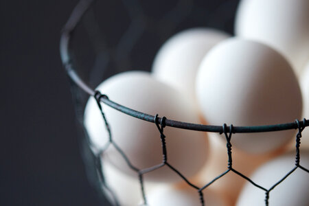 Eggs Basket photo