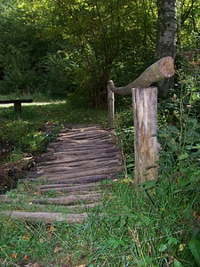 Lane path grass photo