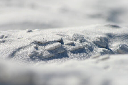 Beach Sand photo