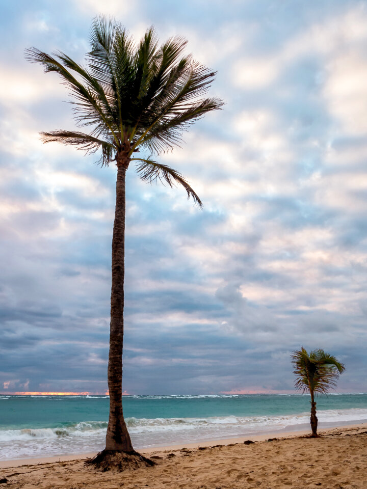 Tropical Beach photo