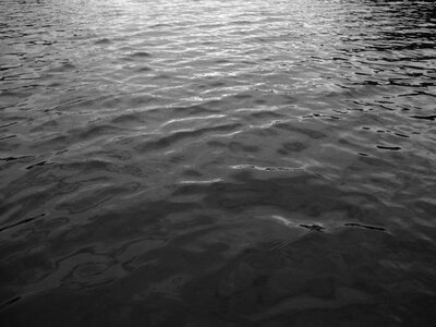 Dark Water photo