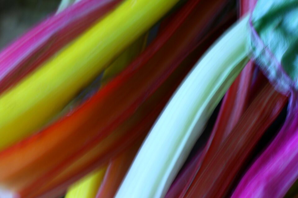 Colorful Vegetables