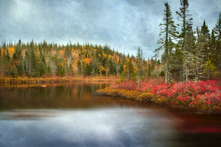 Autumn Lake photo