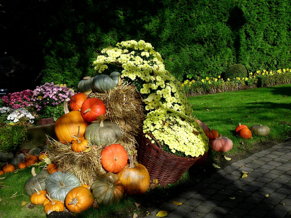 Harvest orange decoration