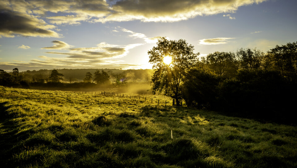 Country Field photo