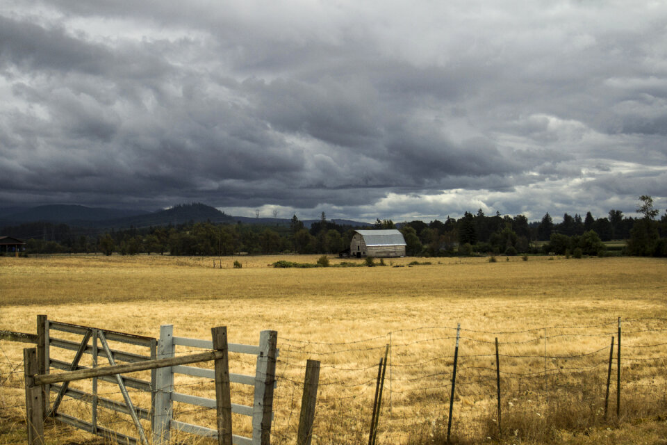 Old Barn photo