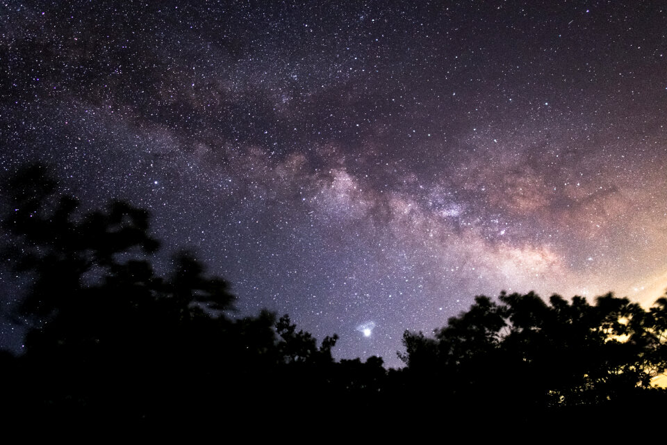 Tree Night photo