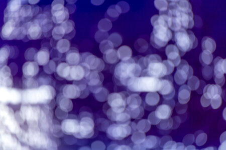 Purple Bokeh photo