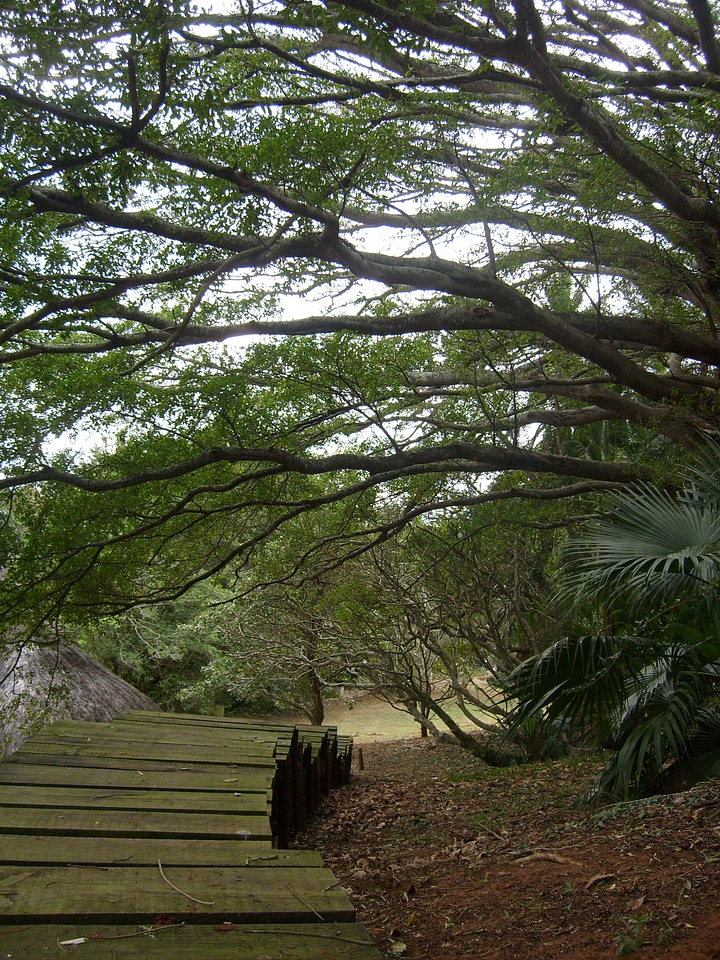 Reserve path landscape photo