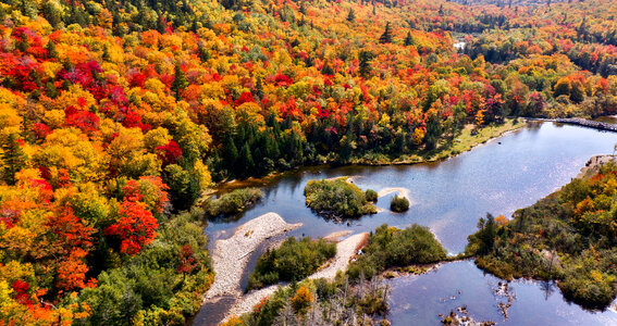 Autumn Aerial photo