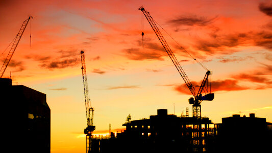 Cranes Construction photo