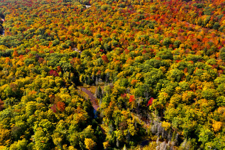 Fall Aerial photo