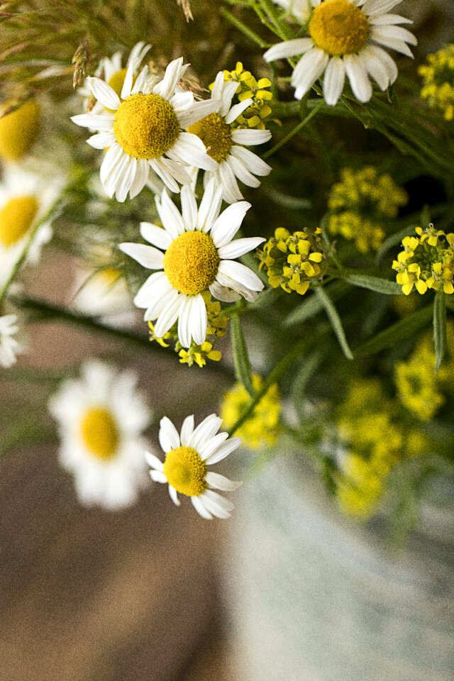 Flower Bouquet photo