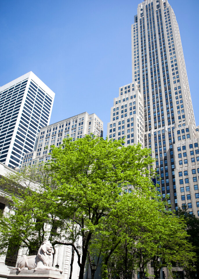 City Building