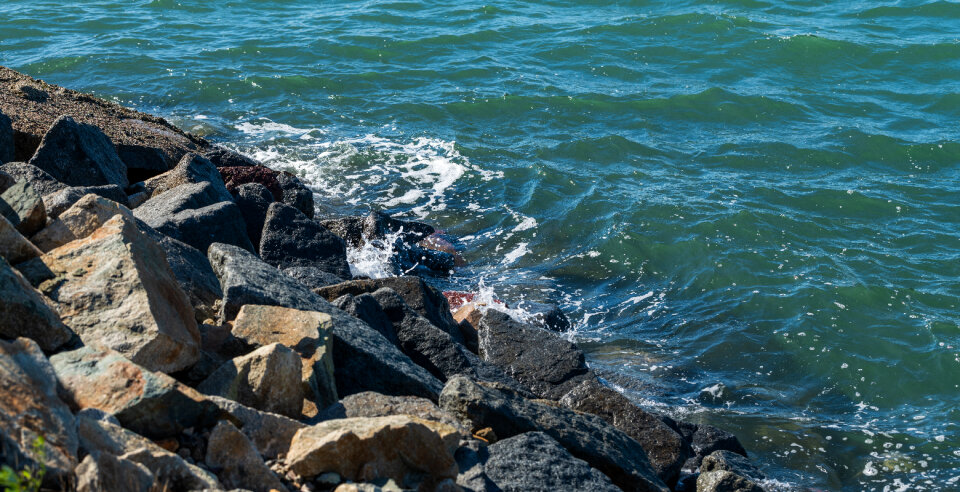Ocean Waves