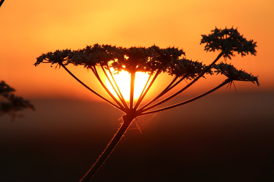 Romantic backlighting evening