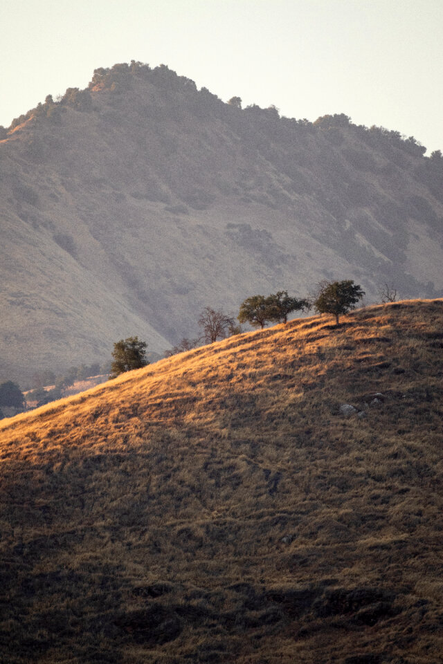 Hills Landscape