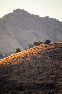 Hills Landscape photo