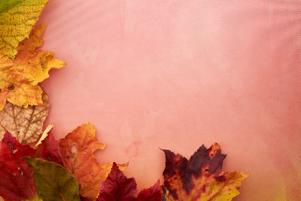 Thanksgiving Background