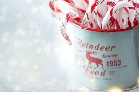 Candy Canes photo