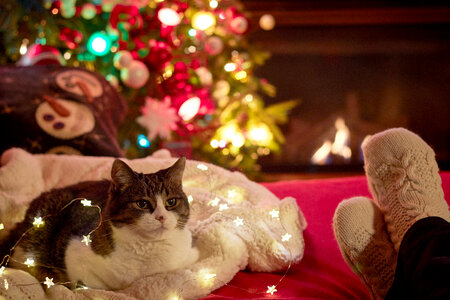Christmas Background