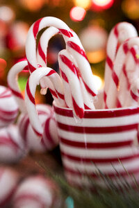 Candy Canes photo