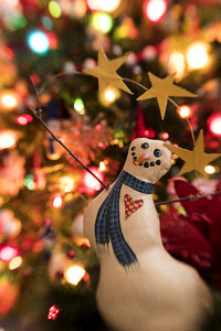 Snowman Holiday photo