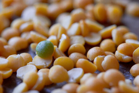 Split Peas photo